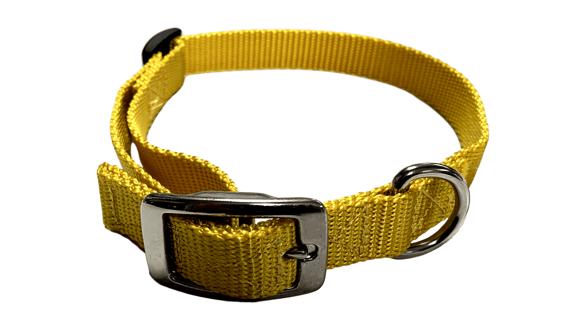 Flat Buckle Dog Collar (Adjustable)