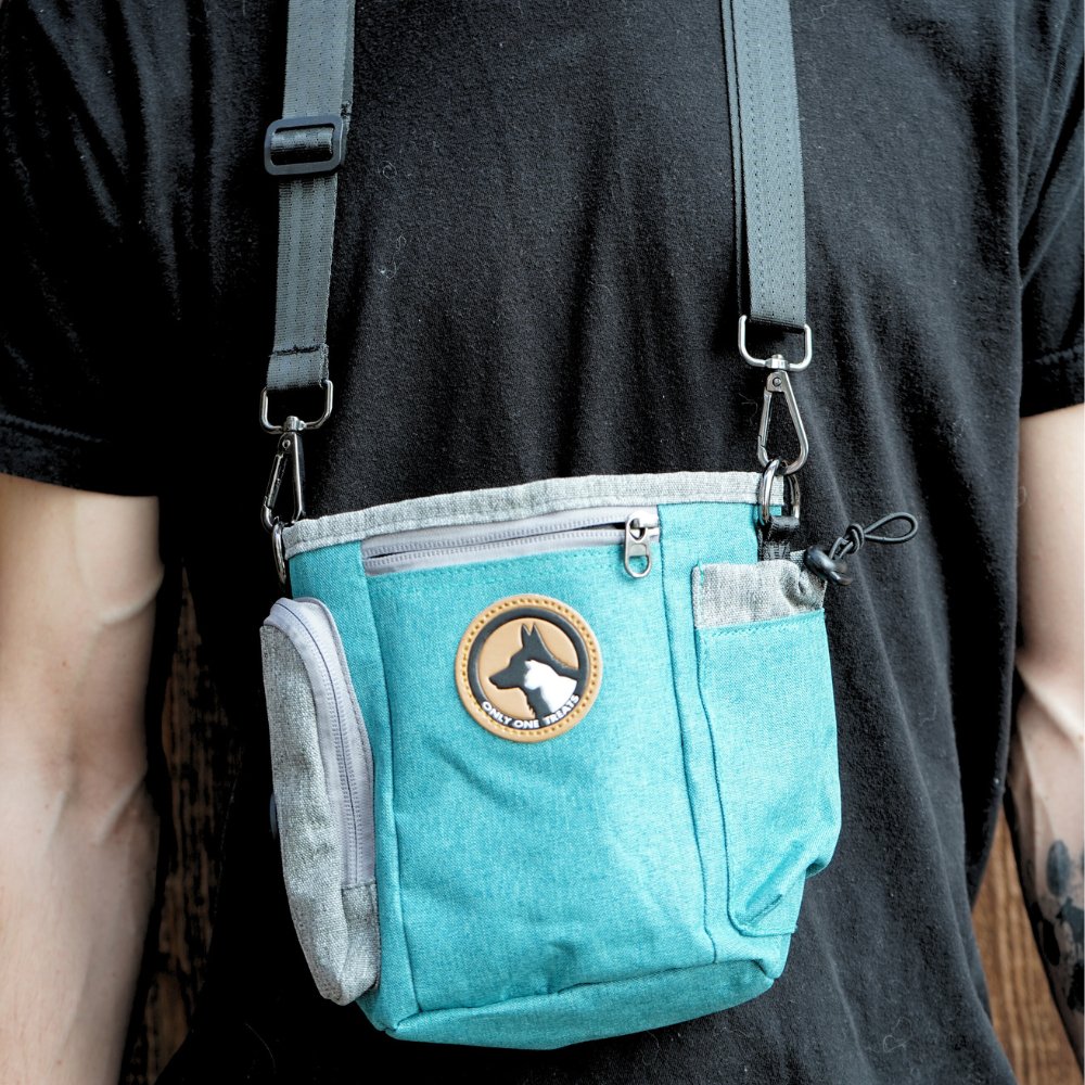 Grande pochette à friandises - Sarcelle