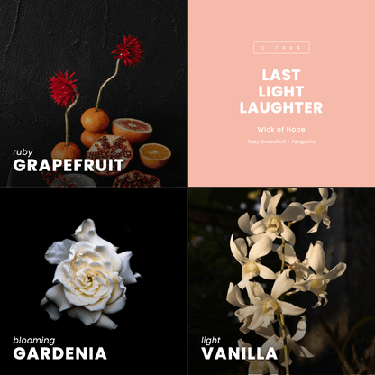 Last Light Laughter Candle | Ruby Grapefruit + Tangerine
