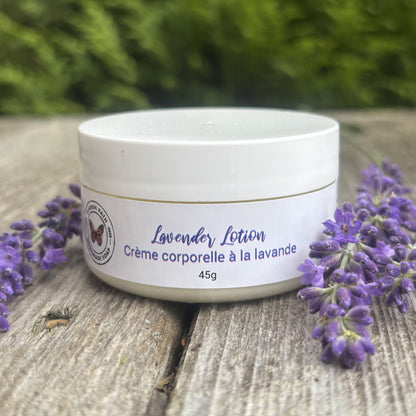 Lavender Moisturizing Hand Lotion 100% Natural Ingredients & Essential Oil