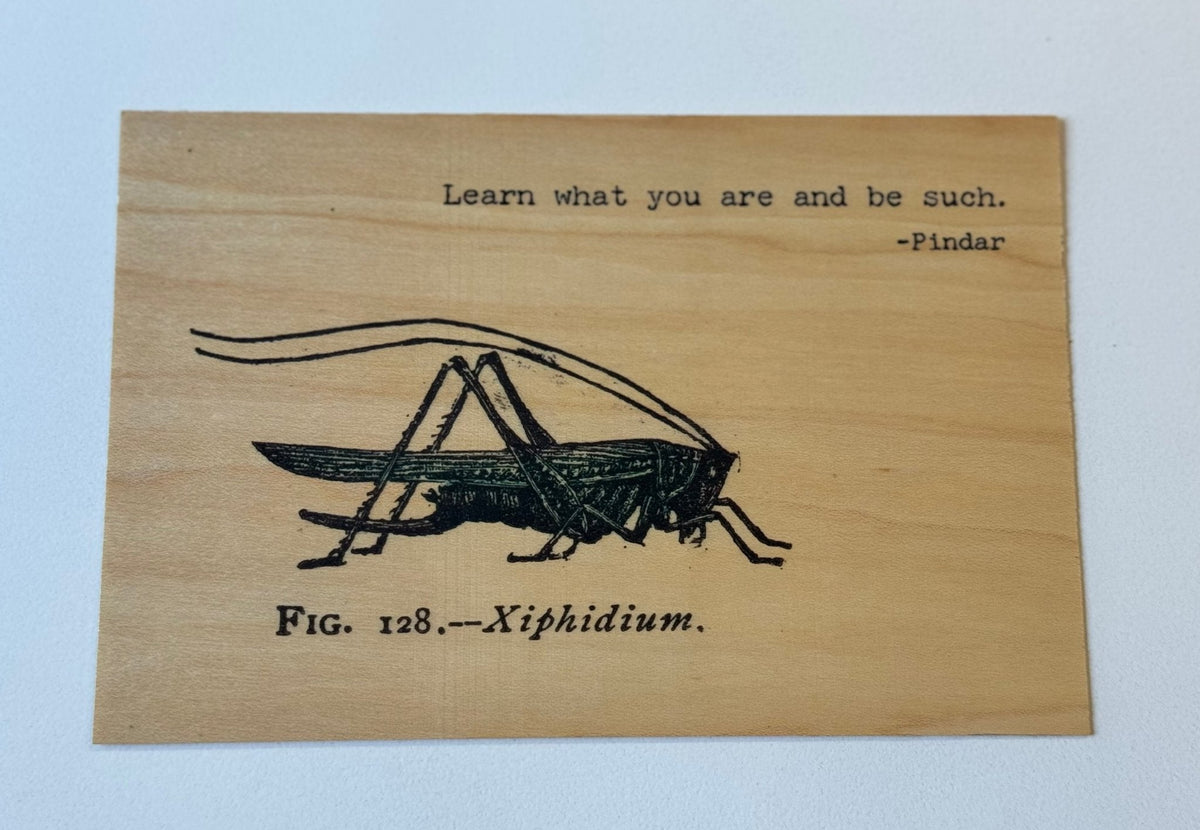 Wood Postcard - Learn What You Are