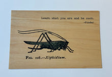 Carte postale en bois - Apprenez qui vous êtes