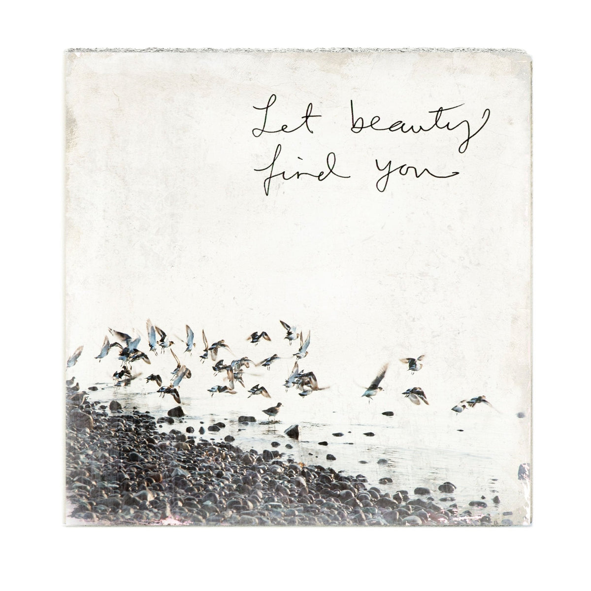 Art Block - Lost & Found - Let Beauty