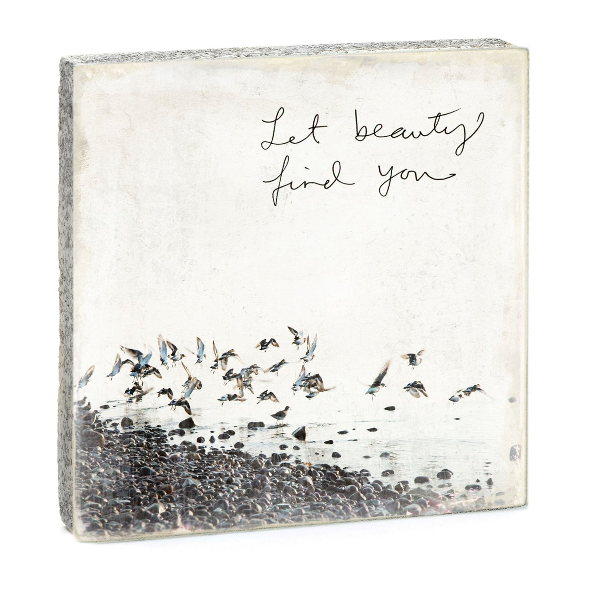 Art Block - Lost & Found - Let Beauty