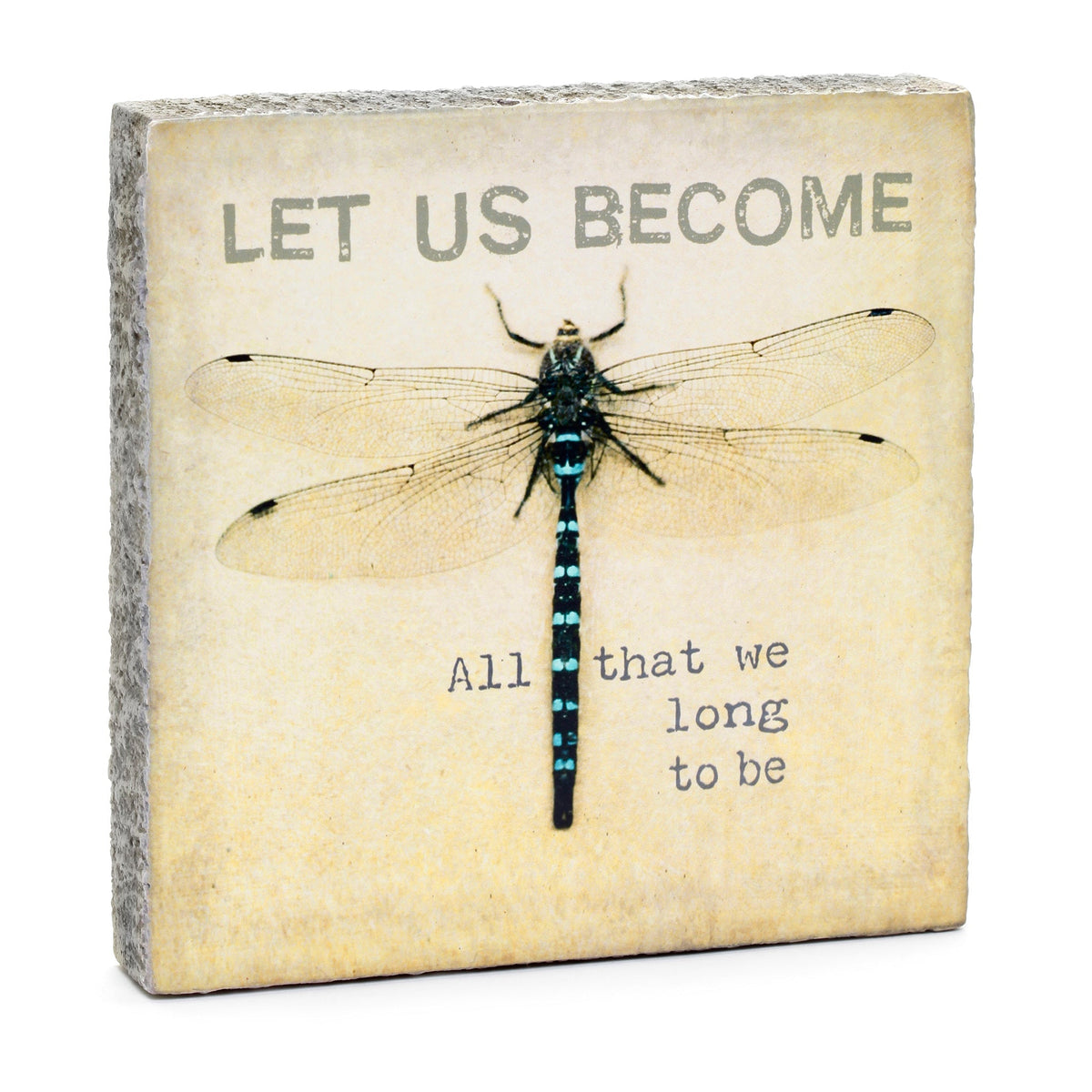 Art Block - Lost & Found - Let Us Become Dragonfly