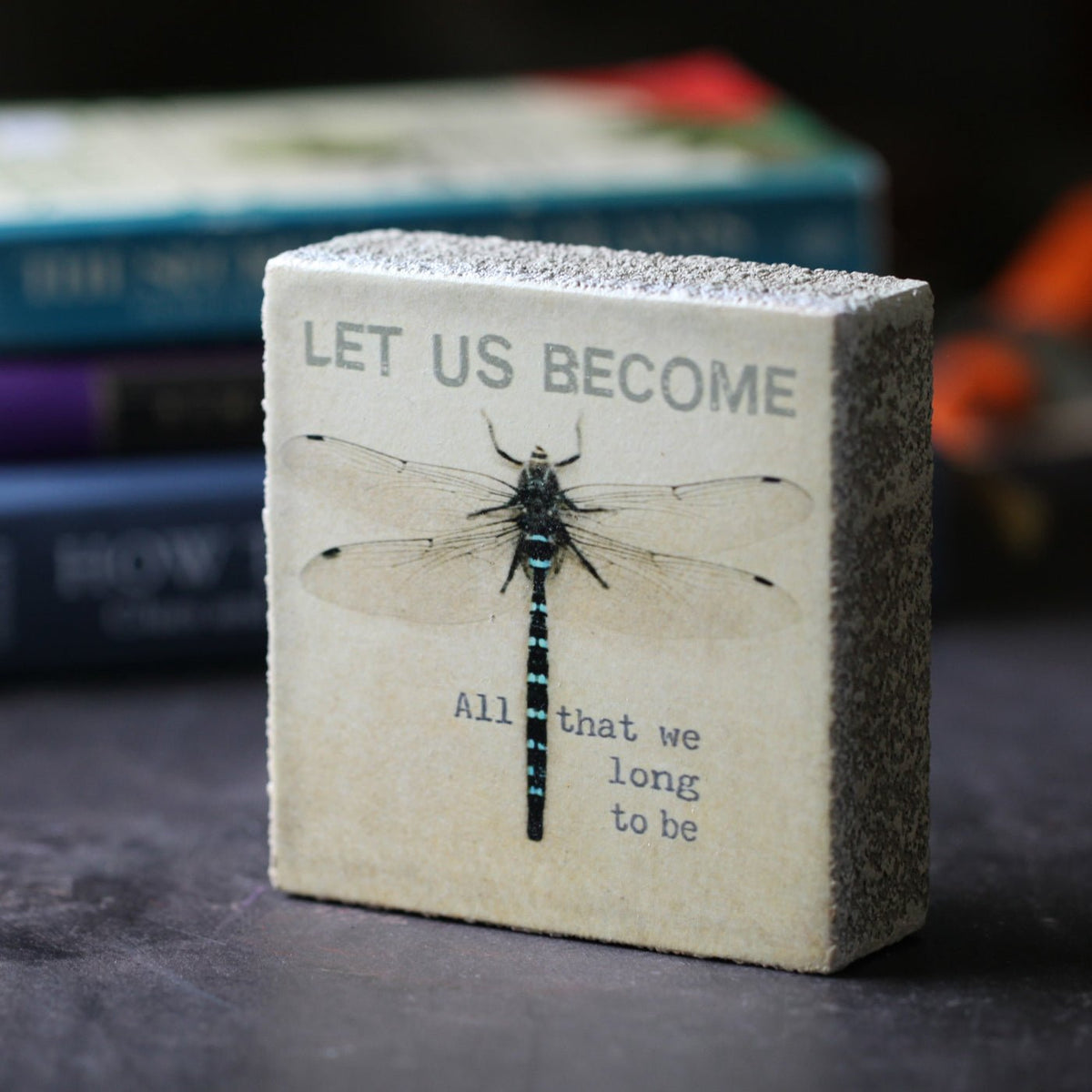 Art Block - Lost & Found - Let Us Become Dragonfly