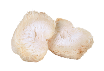 Organic Lion's Mane Mushroom Powder