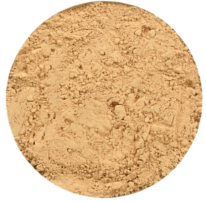 Organic Lion's Mane Mushroom Powder