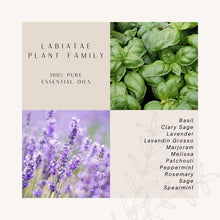 Herb Plant Family | 100 % Pure Essential Oils