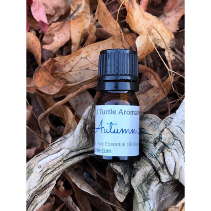Autumn Air | Essential Oil Diffuser Blend