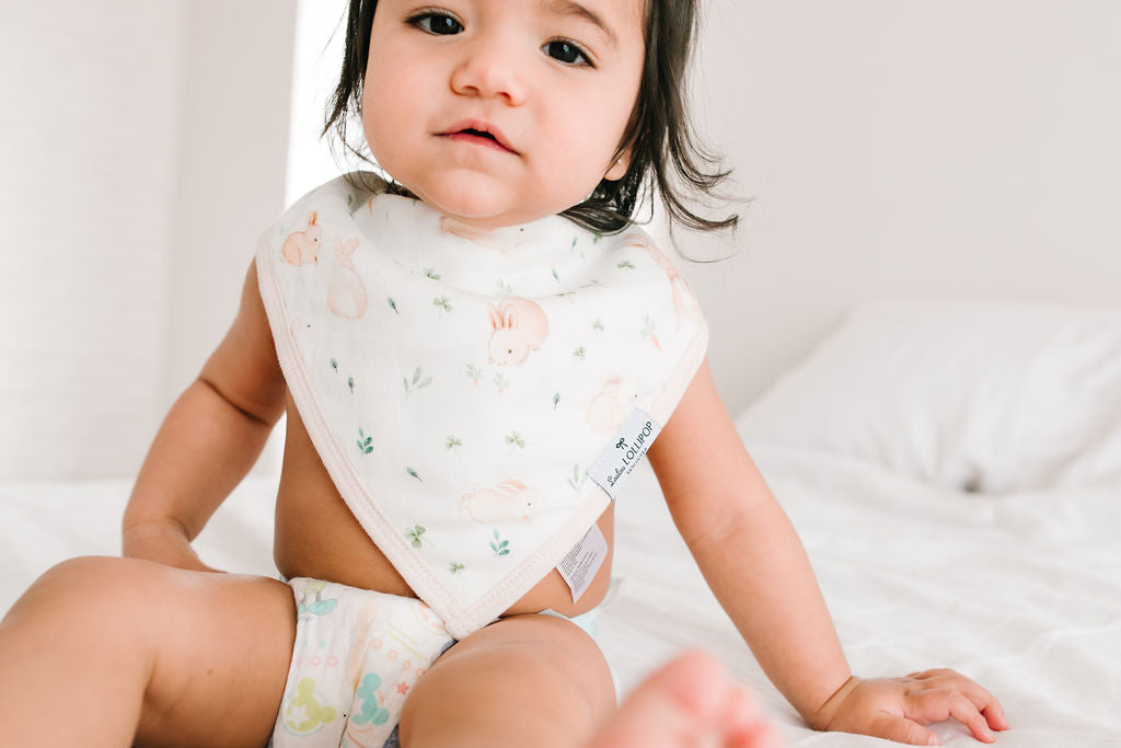 Bandana Bib Set - 2 Pack - Bunny Meadow