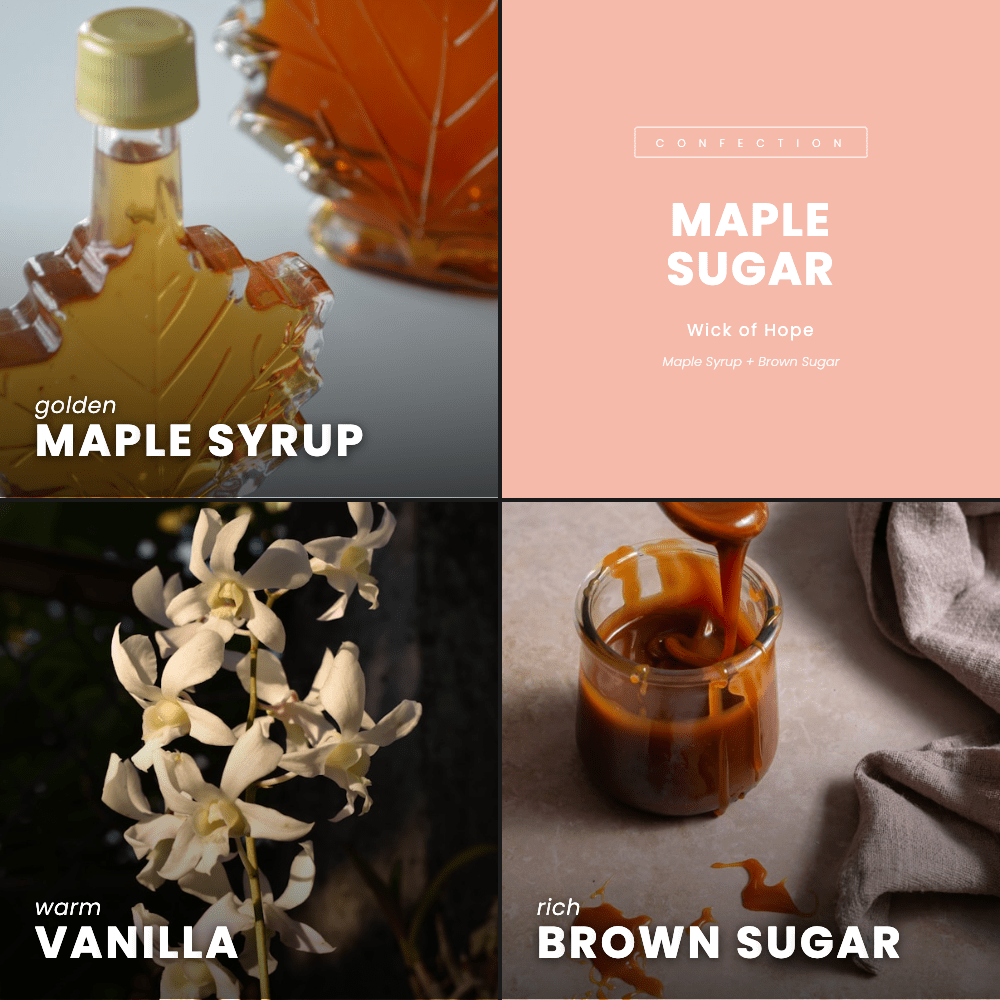 Maple Sugar Candle | Maple Syrup + Brown Sugar