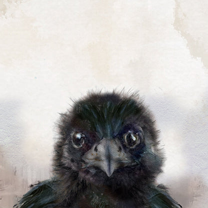 Marble Coasters - Lost & Found - Crow Baby