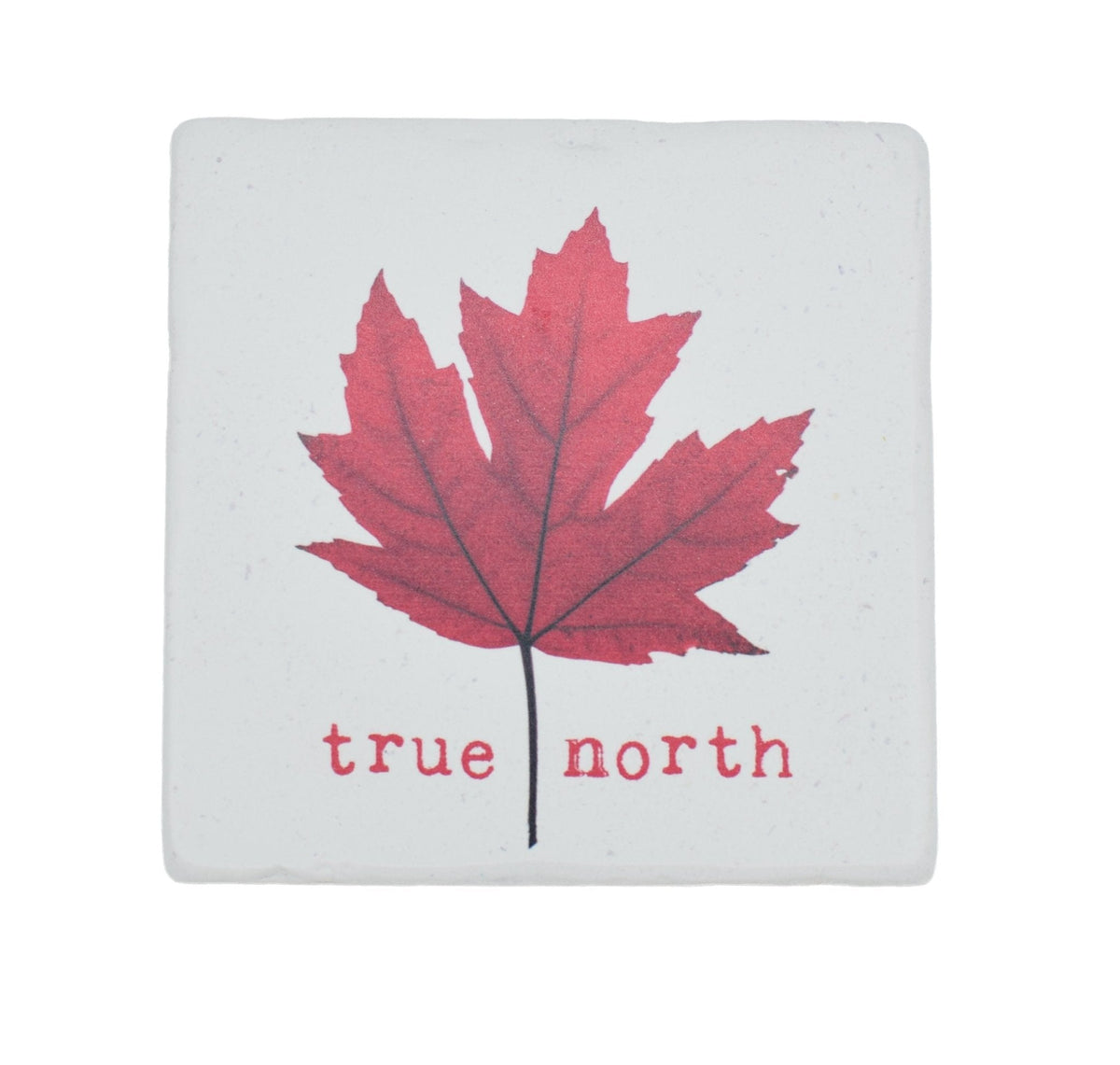 Marble Coasters - Lost & Found - True North