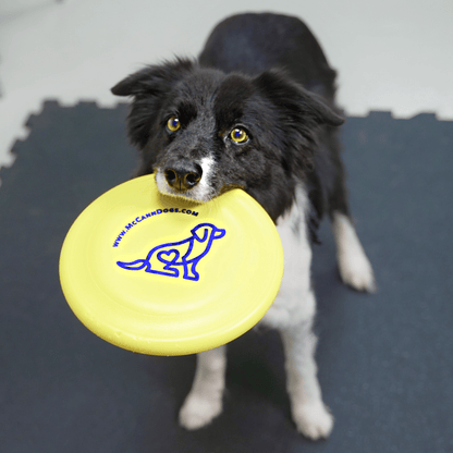 McCann Dogs HyperFlite SofFlite Disc