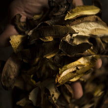 Mélange de champignons bolets