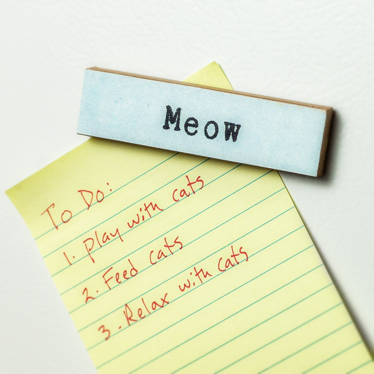 Timber Magnet - Meow