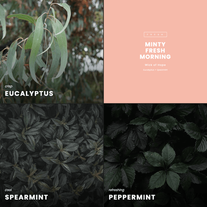 Minty Fresh Morning Candle | Eucalyptus + Spearmint