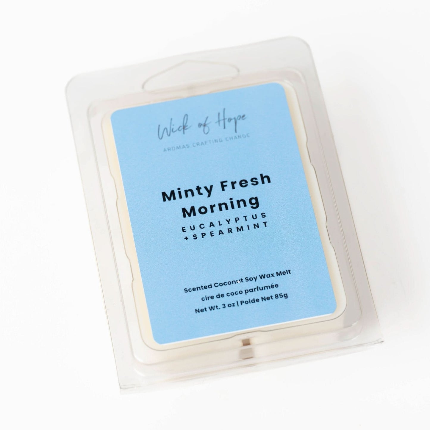 Minty Fresh Morning Wax Melt | Eucalyptus + Spearmint
