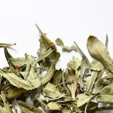Myrique baumier, feuille