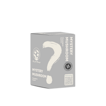 Mystery Mushroom Kit