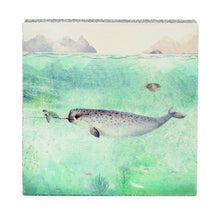 Art Block - Lost & Found - Narwhal