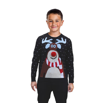 Pull de Noël Rênes Curieux