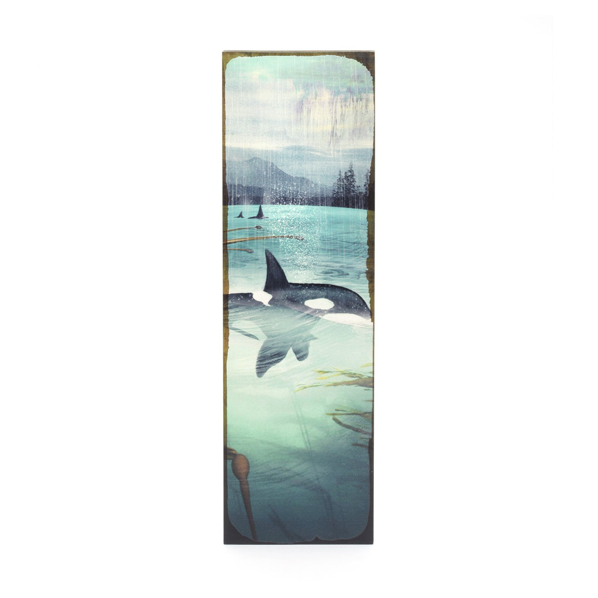 Timber Art - Orca Spray