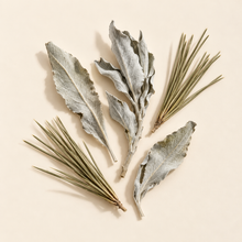 White sage and pine smudge stick