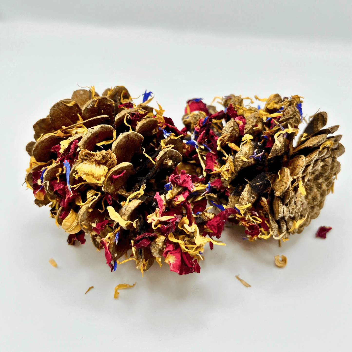 Pommes de pin trempées de fleurs