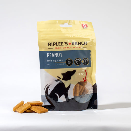 Peanut - Soft Square - Dog Treats