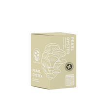 Pearl Oyster Mushroom Kit
