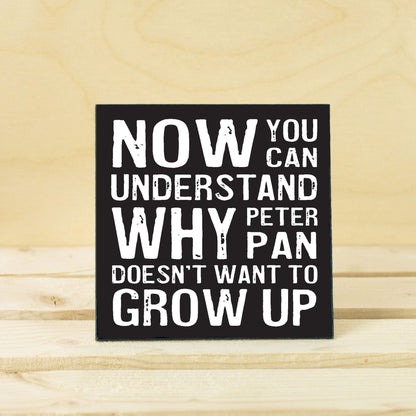 Coasters or Magnets - Peter Pan