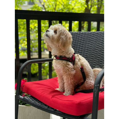 Harnais pour chien à attache rapide Canada