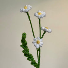 Crochet Chamomile (Handmade Multi-coloured flowers)