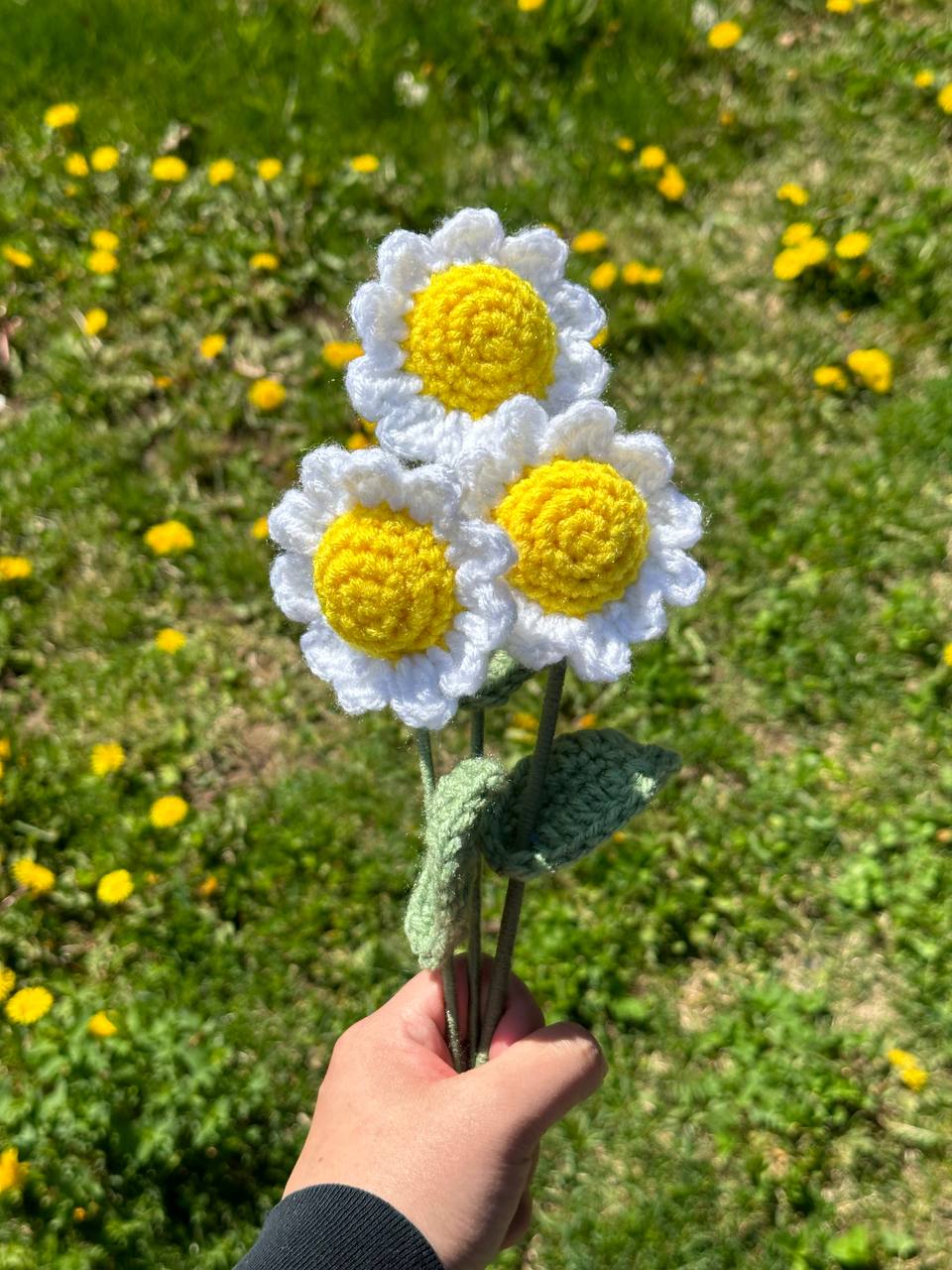 Crochet Daisy (Handmade Multi-coloured flowers)