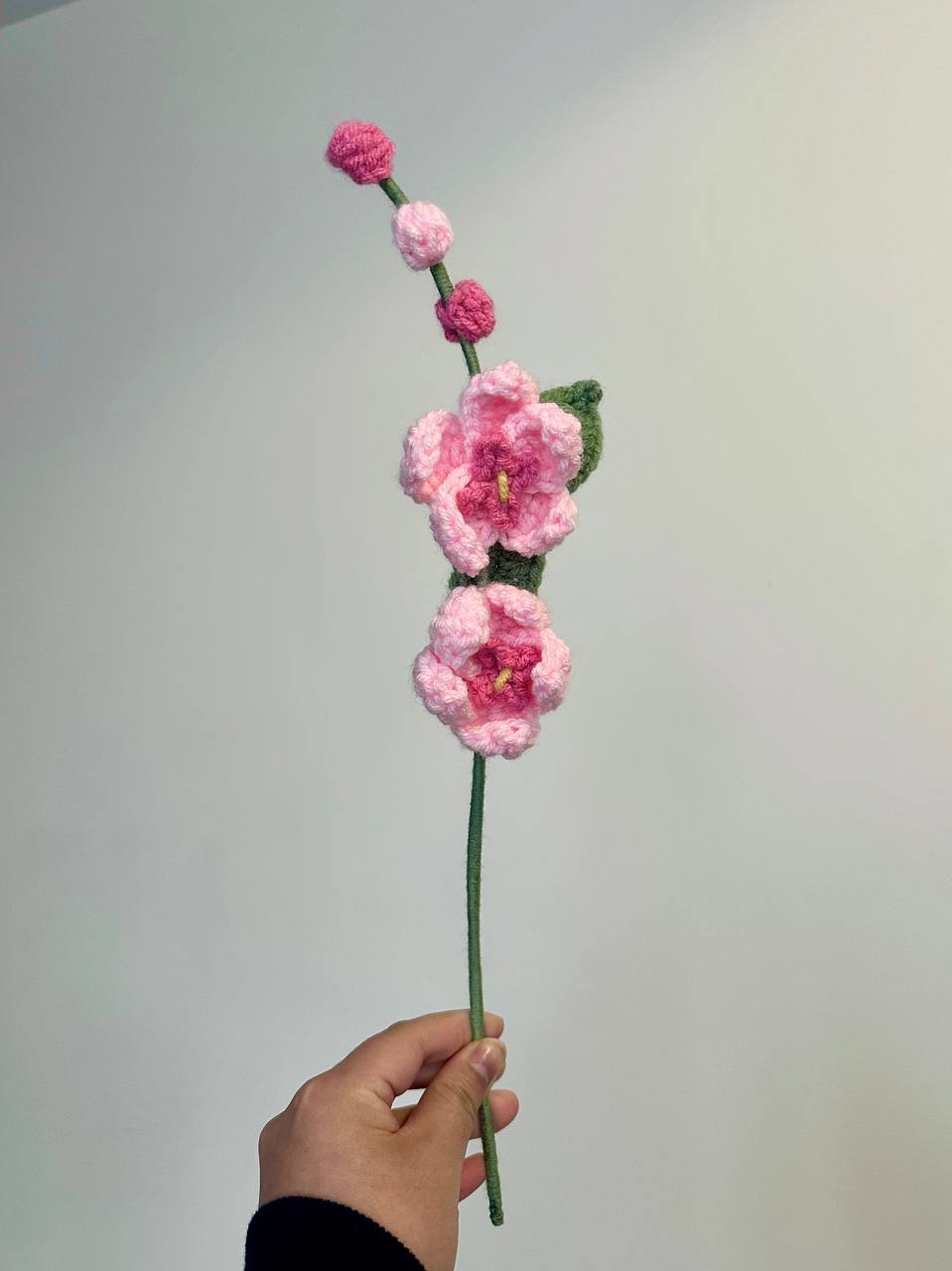 Crochet Orchid (Handmade Multi-coloured flowers)