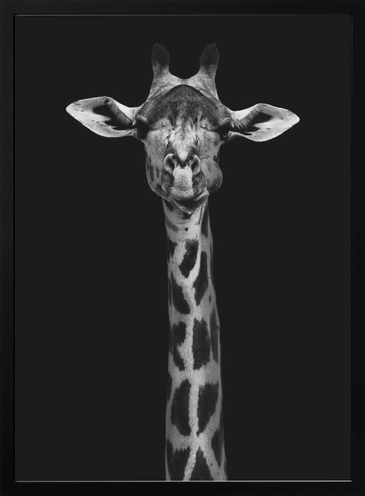 Décoration murale : Portrait de girafe