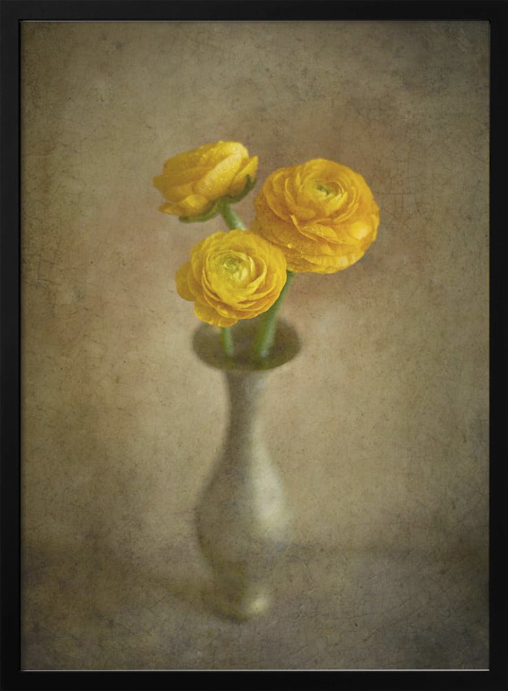 Boutons d'or