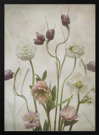 Jardin de printemps