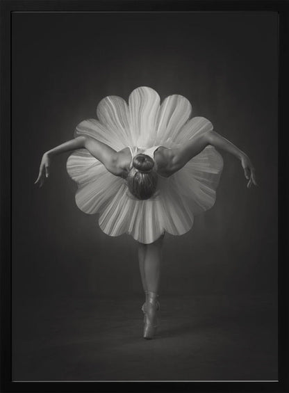 Art mural : Ballet floral