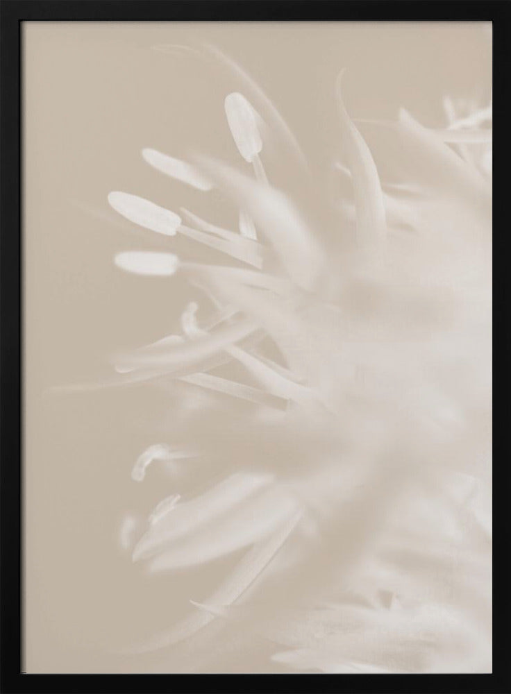 Art mural Fleur Beige_1