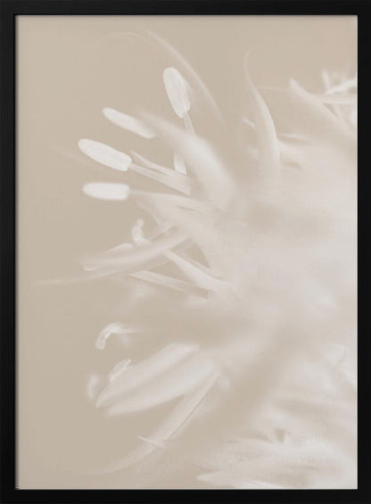 Art mural Fleur Beige_1