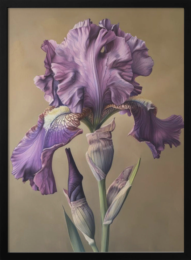 Décoration murale Iris Fl 101