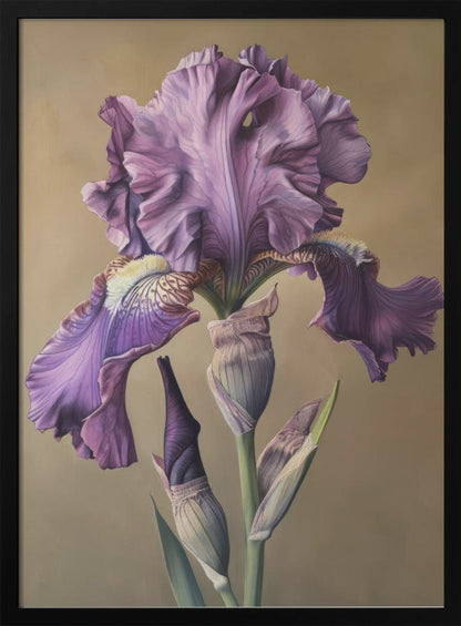 Décoration murale Iris Fl 101