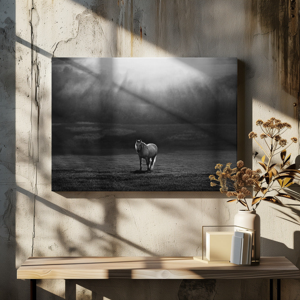Wall art morning appearance. Hourses