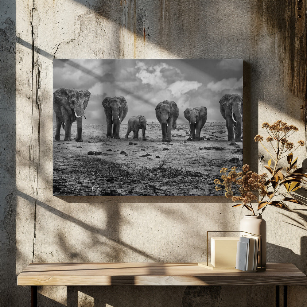 Décoration murale Grande Famille. Éléphants