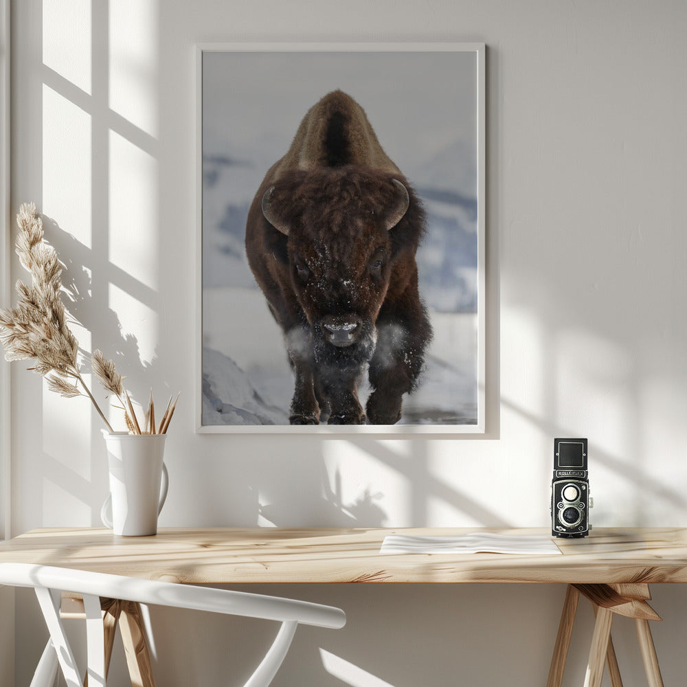 Décoration murale Bison En approche