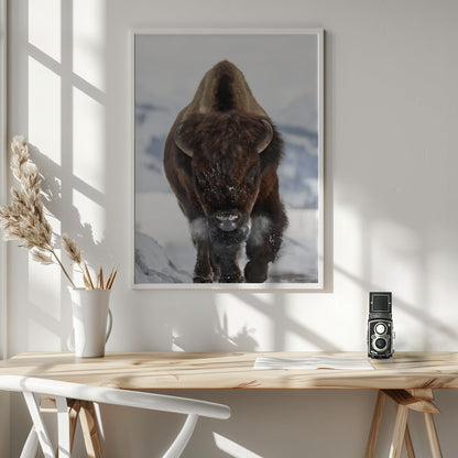 Décoration murale Bison En approche
