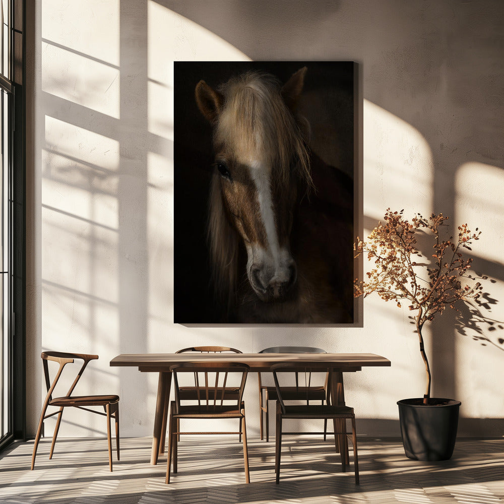 Wall art Sapience